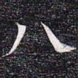 八