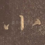 小