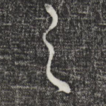 之