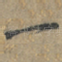 一