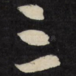 三