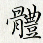 体