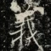 義