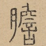 胆