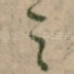之