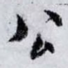 公