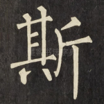 斯