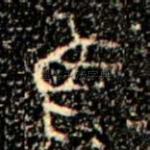 隹