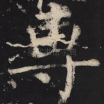 专