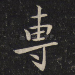 专