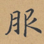 服