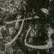 尤