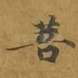 菩