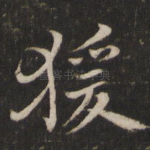 猿