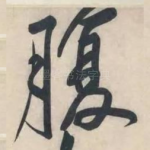 腹