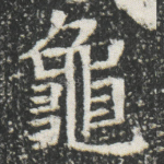龜
