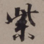 紫