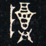 尊