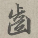 齿