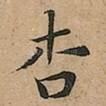 杏