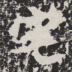 宅