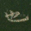 也