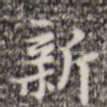 新