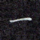 一