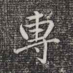专