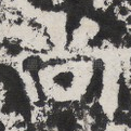 尚