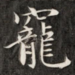 宠