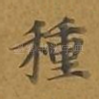 种