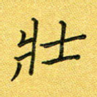 壮