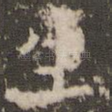 生