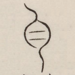 白
