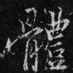 体