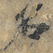 名
