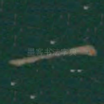 一