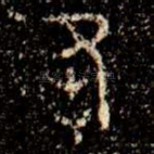苑