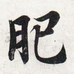 肥