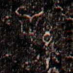 孫