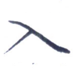 入