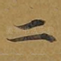 二