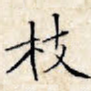 枝