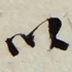 以