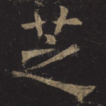 芝