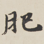 肥
