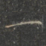 一