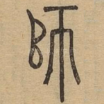 师