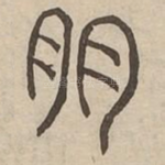 朒